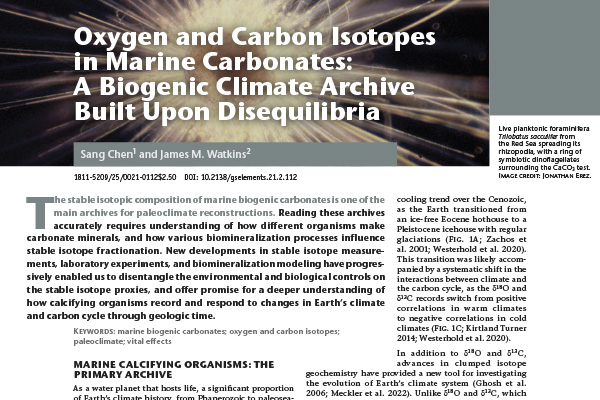 Chen and Watlins (2025)